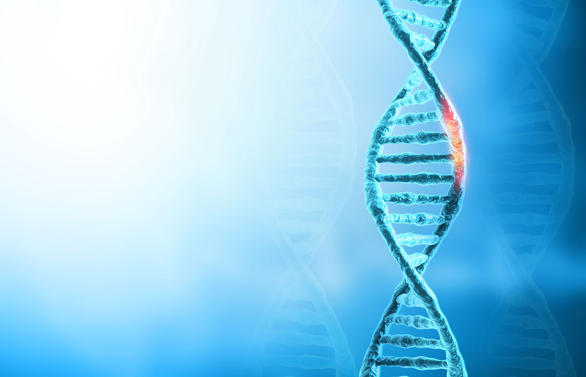healing genetic disorders