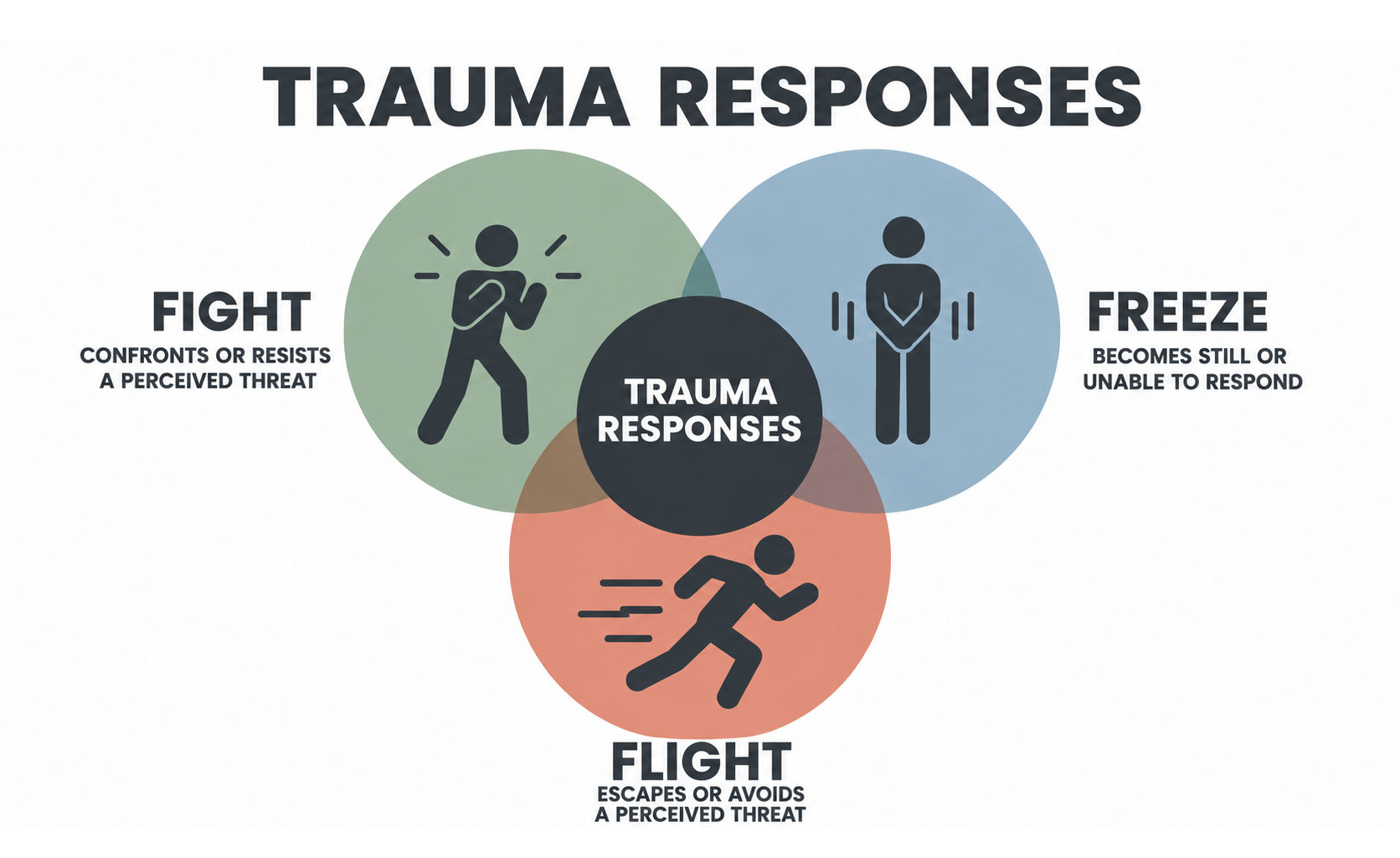 Trauma Responses: Freeze, Fight, Flight